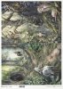 Centaur, driady, las, dżungla*Centaur, Dryads, forest, jungle*Zentaur, Dryaden, Wald, Dschungel*Centauro, dríadas, bosque, jungla